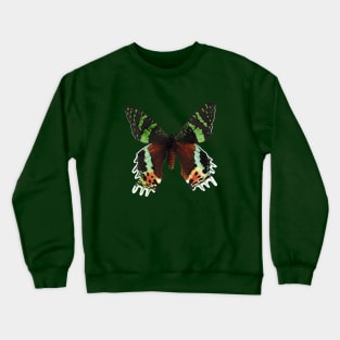 Urania ripheus butterfly Crewneck Sweatshirt